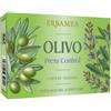 ERBAMEA SRL OLIVO PRESS CONTROL 36CPS