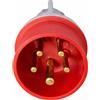 ECOVA Ampere 32 Ampere, CONFEZIONE 1 *** Ecova spina industriale trifase rossa ip44 3p+n+t per cantieri