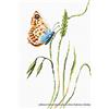 LUCAS Luca-S LB2244 - Schema Punto Croce contato, Motivo Profumo di Primavera, 28,5 x 17,5 cm