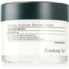Pyunkang Yul Calming Moisture Barrier Cream 50 ml