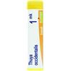 Boiron Thuya Occidentalis M K Globuli 1 g Monodose
