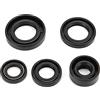 KIMISS Guarnizioni Motore - Paraolio Motore丨 Guarnizione Guarnizioni Olio Motore 5 Pezzi丨 Kit Set Paraolio Motore Accessorio per Lifan Pit Pro Trail Quad Dirt Bike Atv