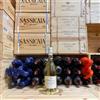 Tenuta di Biserno Occhione 2025 Toscana IGT Bianco Campo di Sasso