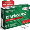 Cisbani Pharma Reaptasi PRO - artiglio del diavolo e boswelia per il b