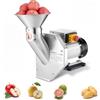 VEVOR Spremiagrumi per Frutta Elettrico 550 W, Macchina per Lavorazione della Frutta Capacità di 60 kg/h per Pera Mela Ananas Frutte Tritafrutta Diametro max 70 mm Materiale in Acciaio Inox 304