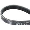 SKF VKMV 4PK788 Cinghia Multi-V | Compatibile con: FIAT SEICENTO / 600, SMART CABRIO, CITY-COUPE, CROSSBLADE, FORTWO Cabrio, FORTWO Coupe, ROADSTER
