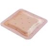 Smith & Nephew Pharmaidea 19726 Allevyn Adhesiv Ag, 12.5 x 12.5 cm, 10 pezzi