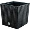 Prosperplast Vaso Rato da 7 litri con contenitore per piantare in antracite 20 x 20 x 20,2 cm.