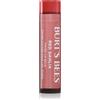 Burt's Bees Tinted Lip Balm 4.25 g