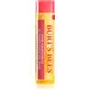 Burt's Bees Lip Balm Pink Grapefruit 4.25 g