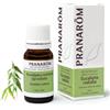 Pranarom Olio Essenziale Bio Eucalipto Radiata 10ml