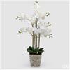 Enzo De Gasperi EDG Enzo De Gasperi Orchidea Phalaenopsis x8 con Bocciolo e Vaso H90 cm Bianca