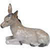 NAO Statuina Asino