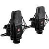 SE ELECTRONICS sE4100 (Pareja)