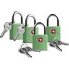 UP Security TSA - Confezione da 4 serrature per bagagli, approvate TSA, per viaggi internazionali, piccolo lucchetto con chiave, mini lucchetto per borsa, valigia, zaino, cerniera per borsa, custodia