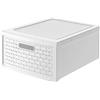 Rotho Country Cassettiera con 1 Cassetto in Rattan, Plastica (PP) senza BPA, Bianco, Grande/19.2 L, 45.0 x 34.0 x 20.0 cm