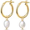 Amberta Orecchini con Perla in Argento Sterling 925 per Donna: Orecchini a Cerchio con Perla Pendente 12 mm - Oro