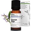 Aroma Labs Salvia a Foglie di Lavanda BIO (Salvia lavandulifolia) - 10 mL - Olio Essenziale Chemiotipizzato e Certificato AB - Benessere respiratorio - Aroma Labs - Made in France