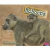 Cecilia Pinto McCarthy Baboons (Copertina rigida) Monkeys