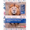 Rebillo NUOVA BIOLOGIA.BLU 2ED. (LA) - DALLA GENETICA AL CORPO UMANO PLUS (LDM) - (9788808938961) + Materiali didattici - Rebillo