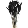 QUARKZMAN 60pz Coda di Coniglio Naturale Fiori Secchi 43cm Mini Erba di Pampa per Decorazioni Floreali Matrimonio Natale, Nero