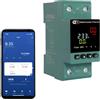 JOYELEC Wifi intelligente Contatore Energia Elettrica,Misuratore di Consumo 63A 230V,monitoraggio in tempo reale，Funzione di interruttore temporale，Protezione da sovratensione e sottotensione