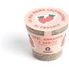 Resetea La Mia Prima Coltivazione di Fragole - Kit Educativo Montessori & STEM per Bambini e Adulti | Con Semi, Vaso Biodegradabile e Terriccio | Attività Sensoriale e Regalo Originale