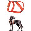 Non-stop dogwear Line Harness 5.0, pettorina imbottita per cani di taglia piccola, media e grande, realizzata per escursioni, sport e uso quotidiano attivo, taglia 7
