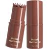 Generic Penna stick colorata - Applicatore per capelli grigi | Design facile da usare con punta, copertura istantanea di lunga durata, strumento per lo styling della barba per viaggi, compleanni