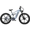 mihogo Bici Elettrica Fatbike, MTB Elettrica con Doppio Motore, Pneumatici Fat 26 x 4,0 Pollici, Batteria Rimovibile 48V 20Ah, Autonomia fino a 140km, Display a Colori 3,5, 7 Velocità E-bike (grigio argento)