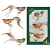 Krebs Glas Lauscha - Decorazione natalizia/decorazione per albero di Natale in vetro - Uccelli su clip - Colore: trasparente naturale - 3 pezzi - Dimensioni: circa 11 cm