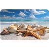 Ginfult Tappetino da bagno in diatomacea con stelle marine e conchiglie, 50 x 80 cm, assorbente, antiscivolo, tappetino da bagno per ingresso