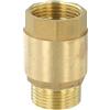 AugustknowU Valvola di ritegno in ottone con filettatura femmina e maschio per una sicura prevenzione del riflusso nei sistemi di condotte (2,5 cm)