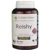 GOLDEN WAVE Srl REISHY 90MAXI CPS