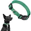 Ferplast Collare Cani Regolabile in Plastica Riciclata da Bottiglie in Pet, Fibbia e Anello in Metallo, (Circonferenza Collo 33-53 cm), Taglia M, Verde