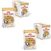 ROYAL CANIN Bouledogue Francese Adulto in Mousse | Confezione Doppia | 2 x 12 x 85 g | Alimento completo per Bouledogues Francesi dai 12 mesi