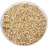 Leimüller Orzo da birra, 25 kg, mangime per uccelli, colombe, polli, orzo