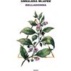 Einaudi Belladonna