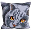 Collection D'Art Artistica 40 x 40 cm Collezione Gatto Persiano Kit di Ricamo a Punto Croce