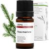 Aroma Labs - Abete Nero BIO - Olio Essenziale Chemiotipizato e Certificato AB/Cosmos - 5 mL