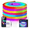 HEGEHE Striscia LED Neon RGB WS2812B 5V,Alimentazione USB,Illuminazione a 360° Tubo LED,con Telecomando Bluetooth 24 Tasti Musica Colori Completi,Decorazione Casa e Negozio - Senza Alimentatore [1M]