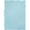 liderpapel pw13 - carta PERGAMENA con bordi, formato A4, colore: Blu