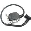 WHALJSDOZ Ignition Coil Fit For Dolmar 112 113 114 116 120Si PS-6000i PS-6800i Chainsaw