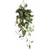 Bloomique - Scindapsus Pictus - Vite argentata - Pianta pensile - Adatta anche come pianta rampicante - Piante da appartamento - Purifica l'aria - Facile da mantenere - Altezza 20-25 cm - Vaso 15 cm