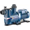 PEDROLLO Pompa di Filtrazione Piscina Magnifica 5 230/400v - 2,2 Kw - 36 M3/h