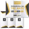Bonomo Promotion Italia 25 Brochure A4 3 Ante Personalizzate | Stampa Fronte/Retro su Carta Patinata 130g | Pieghevoli Aziendali | Personalizzabili con la Tua Grafica