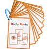 Qusinfc Cartoline interattive vocabolario per bambini, apprendimento precoce, 11 cm x 8 cm, parola per insegnanti, scuola materna sviluppo linguistico