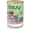 wonderfood Oasy Cane Lifestage Adulto Light In Fat Pollo 400 Gr