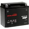 Generico COMPATIBILE CON PIAGGIO BEVERLY 250 300 350 400/300 400 HPE 310 BATTERIA YTX12-BS compatibile con MALOSSI MTX12-BS GEL FORNITA CARICA E PRONTA ALL'USO