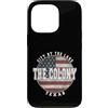 Texas born and pride Custodia per iPhone 13 Pro La colonia texas, vintage bandiera americana